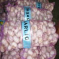 2016 New Crop Fresh Garlic with Market Price in China